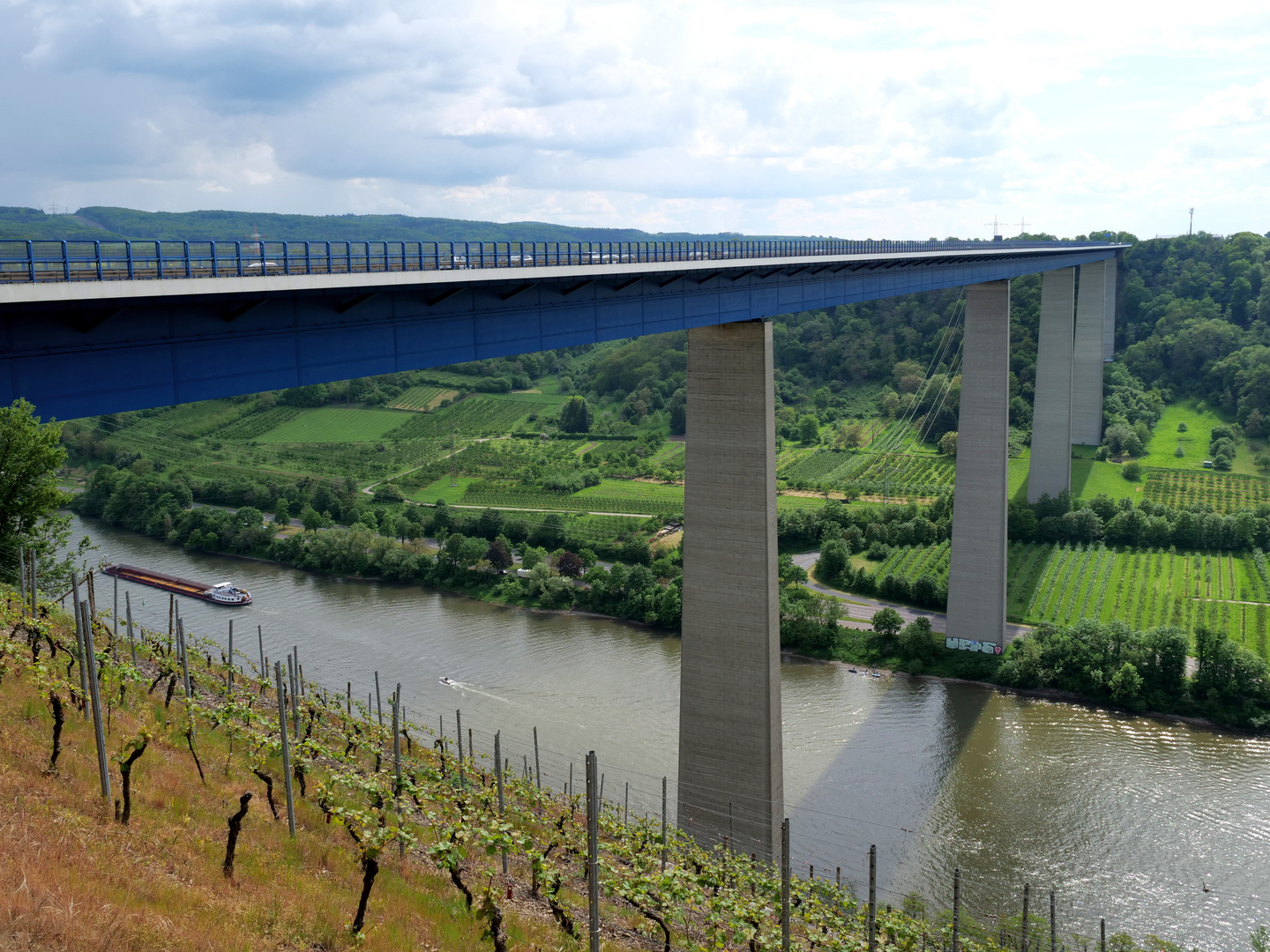 Blick auf die Mosel 1