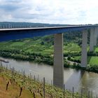 Blick auf die Mosel 1