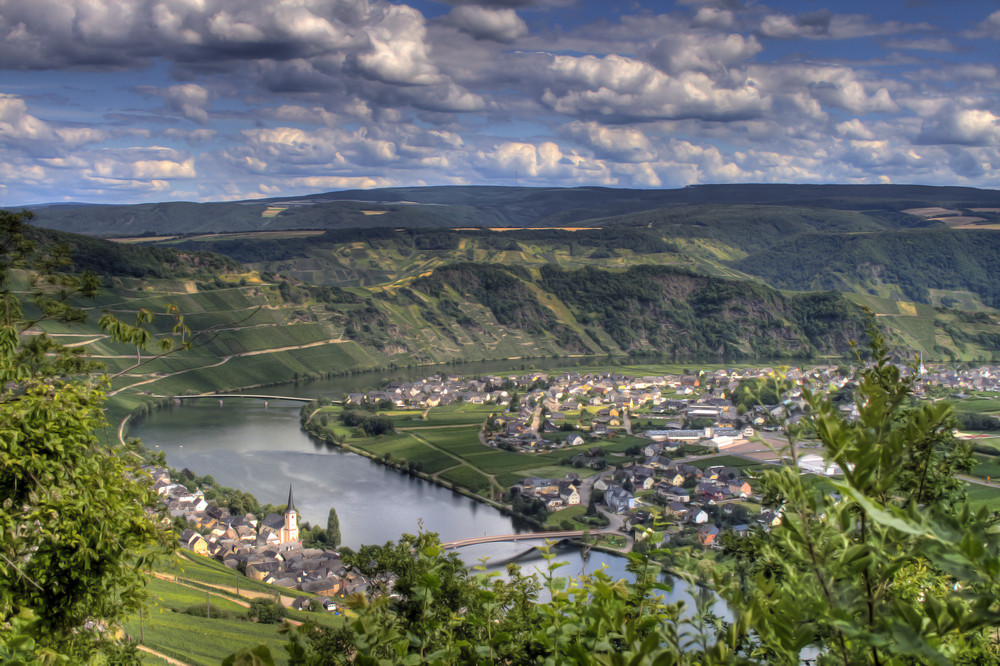 Blick auf die Mosel