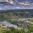 Blick auf die Mosel