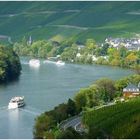 Blick auf die Mosel