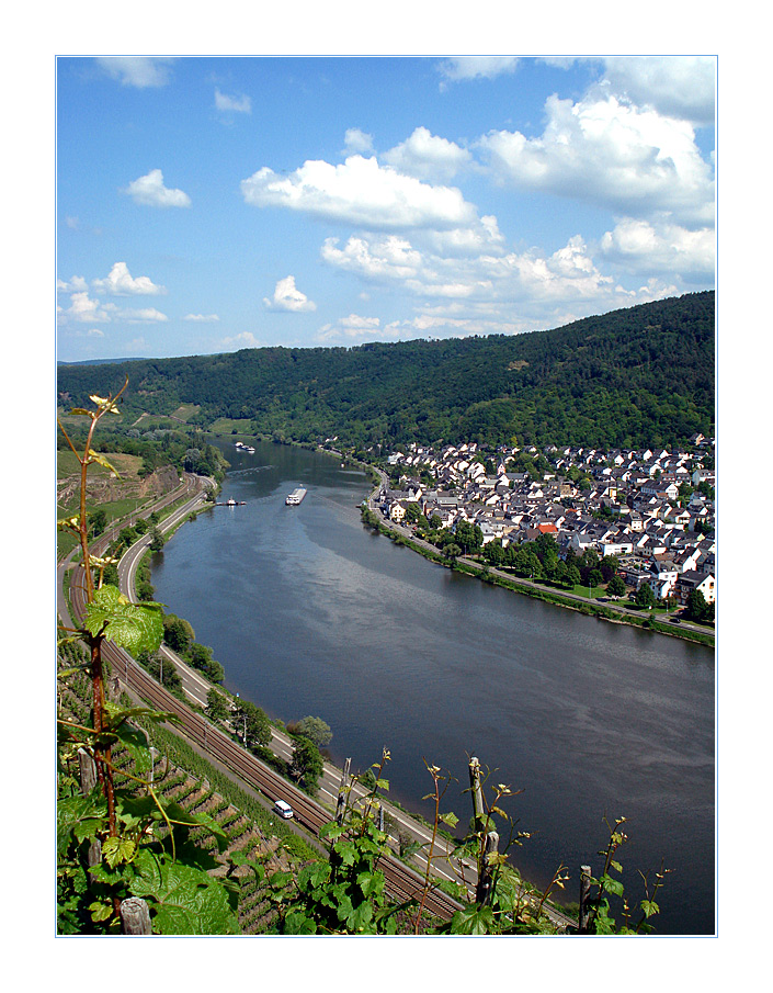 Blick auf die Mosel bei  Winningen