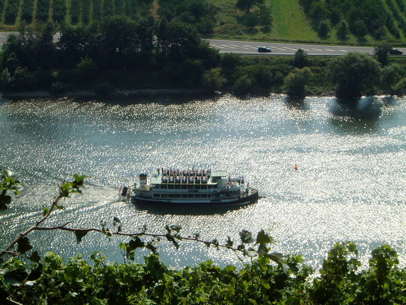 Blick auf die Mosel