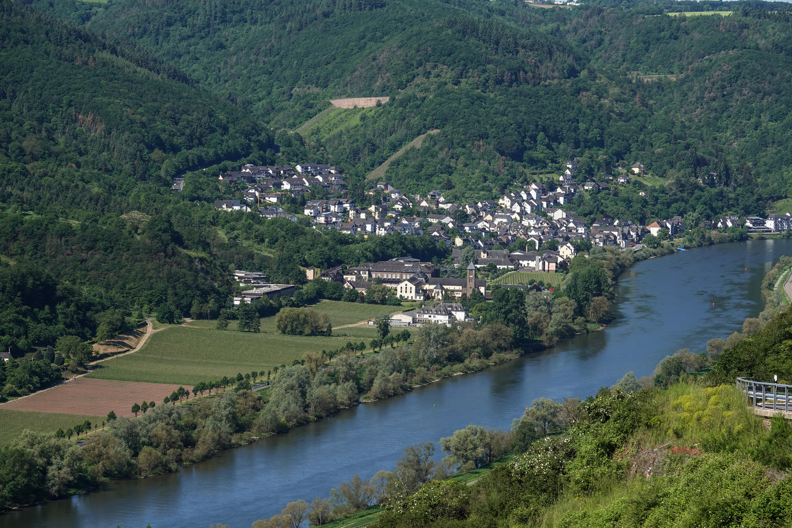 Blick auf die Mosel