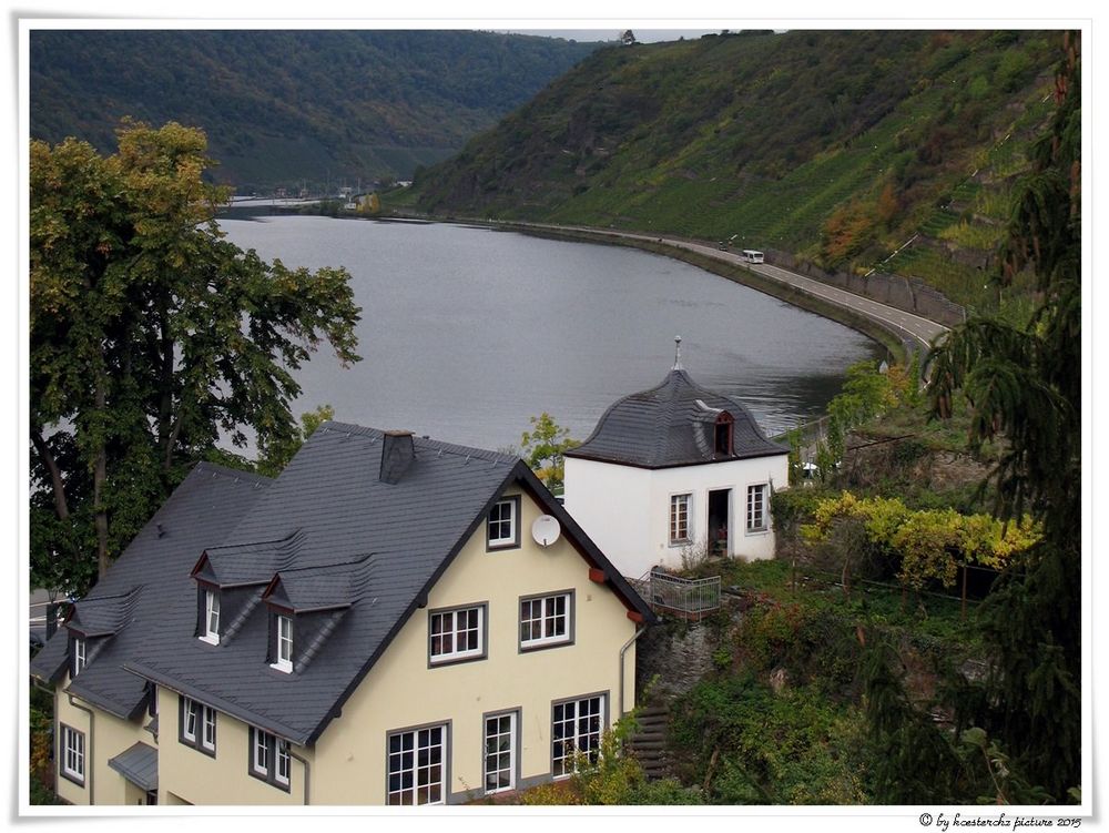 Blick auf die Mosel