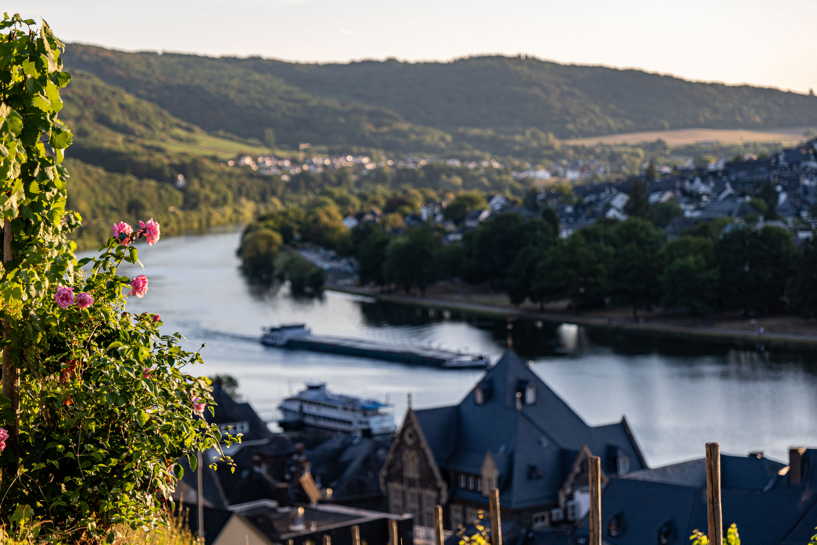 Blick auf die Mosel