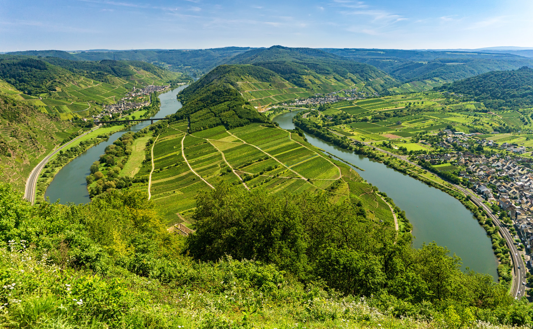 Blick auf die Mosel vom Calmont