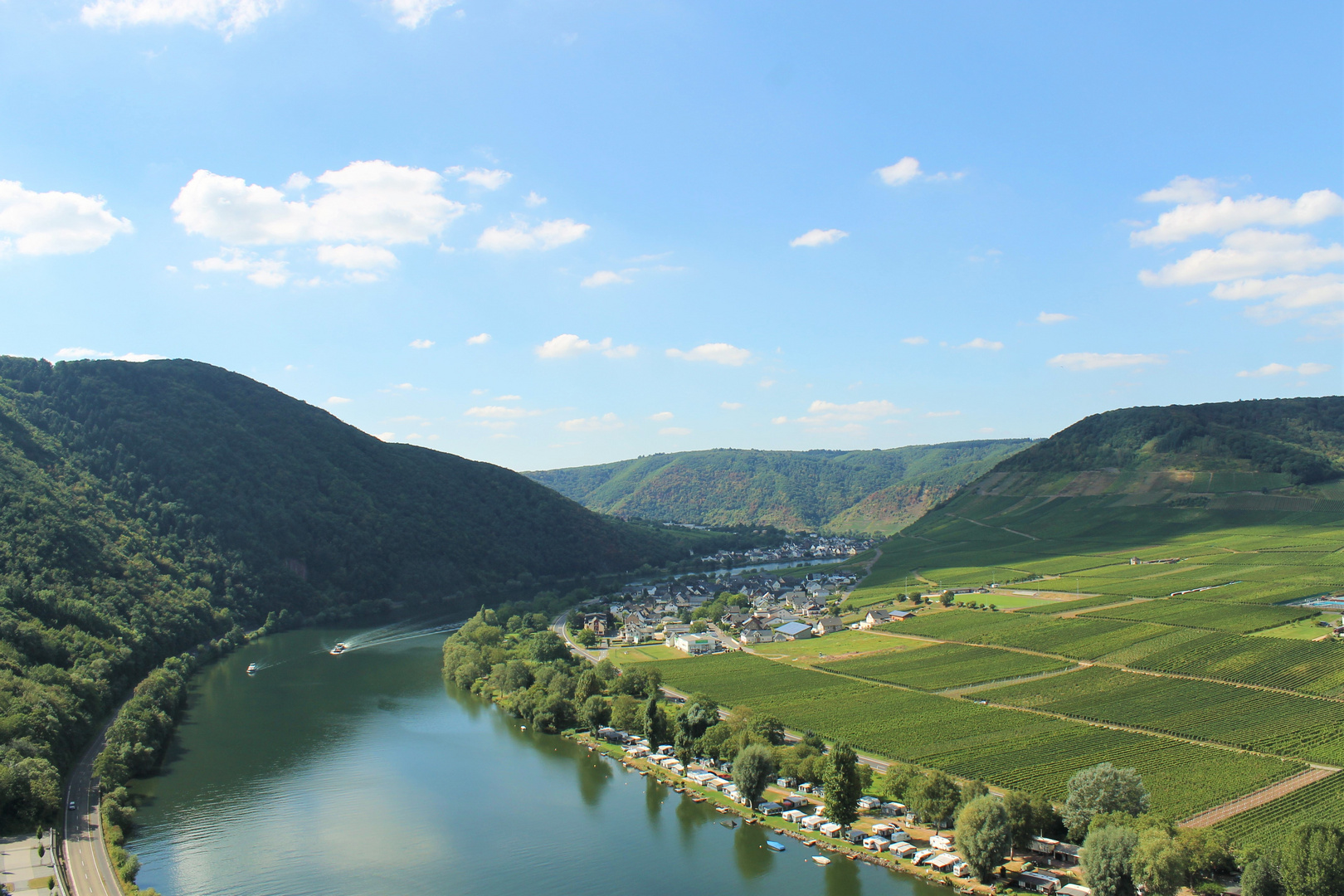 Blick auf die Mosel von der Burg Metternich