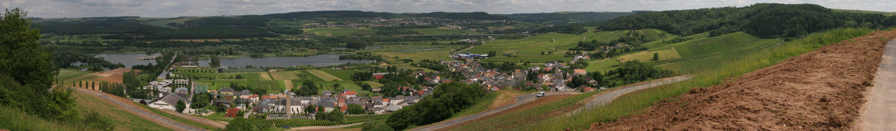 Blick auf die Moselregion