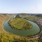 Blick auf die Moselschleife in Bremm