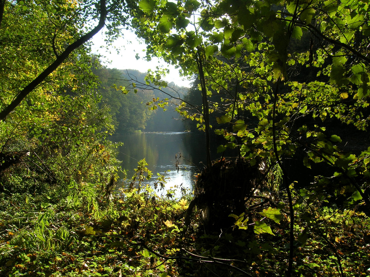 Blick auf die Mulde