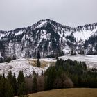 Blick auf die Nagelfluhkette