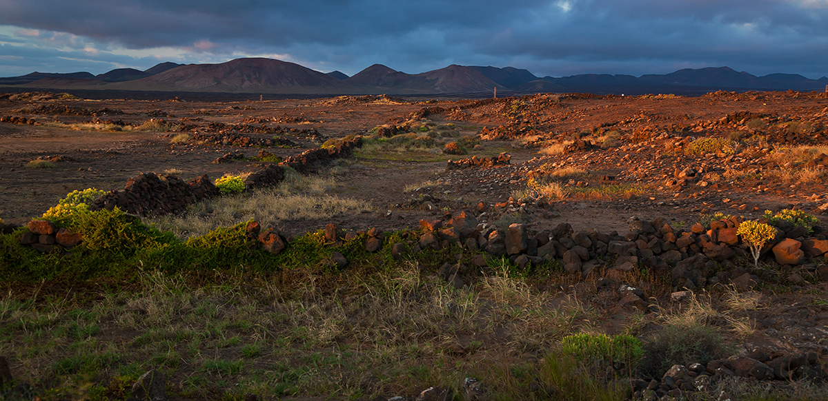 Blick auf die Nationalpark Timanfaya