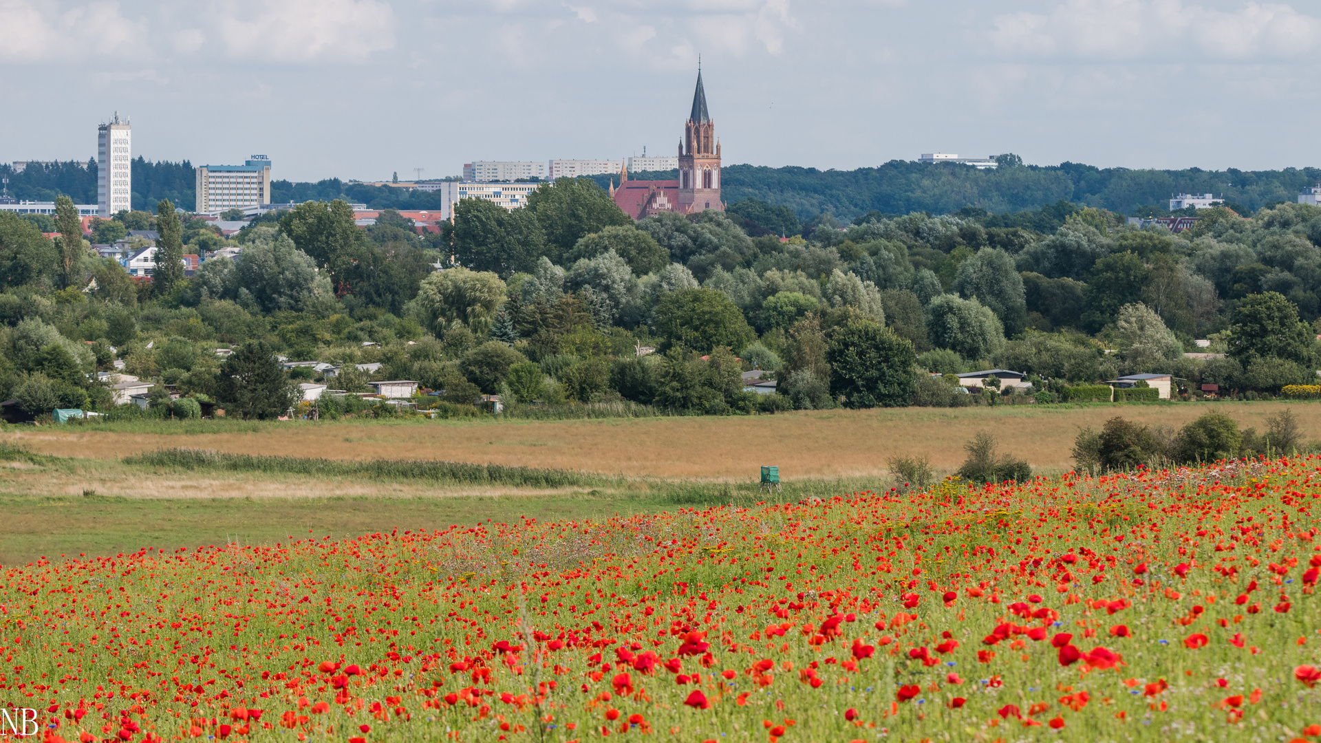 "Blick auf die Neubrandenburger Konzertkirche 2023"