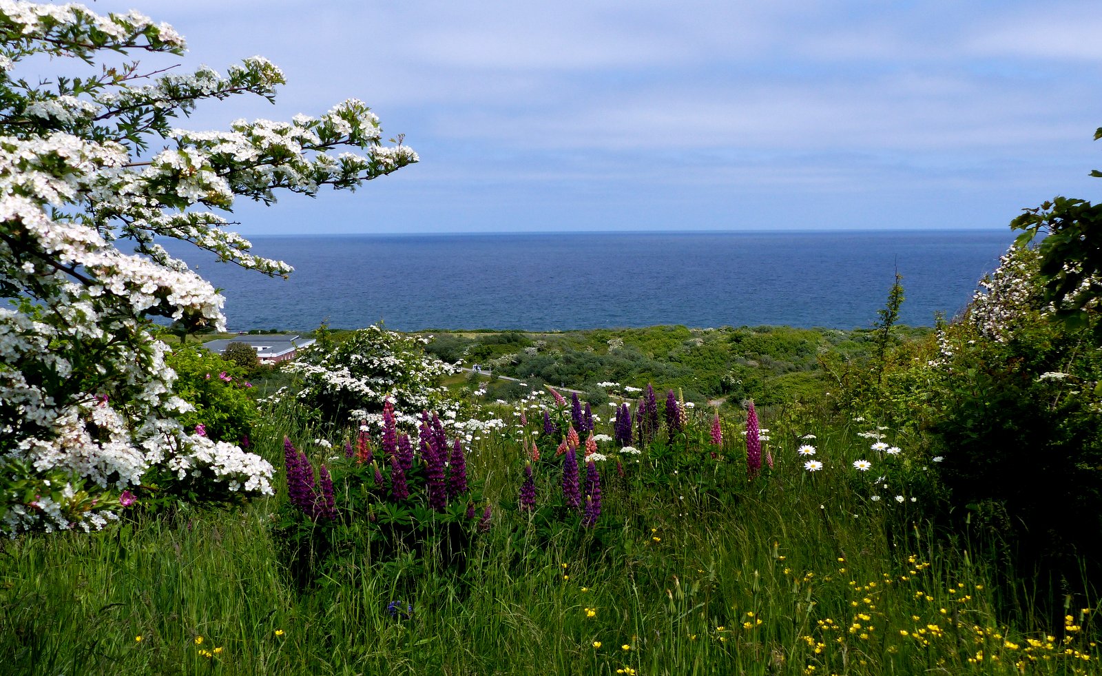 Blick auf die Nordsee