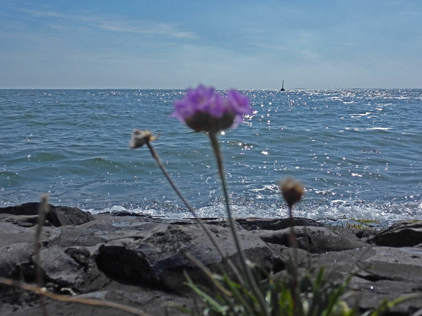 Blick auf die Nordsee in Eckwarderhörne