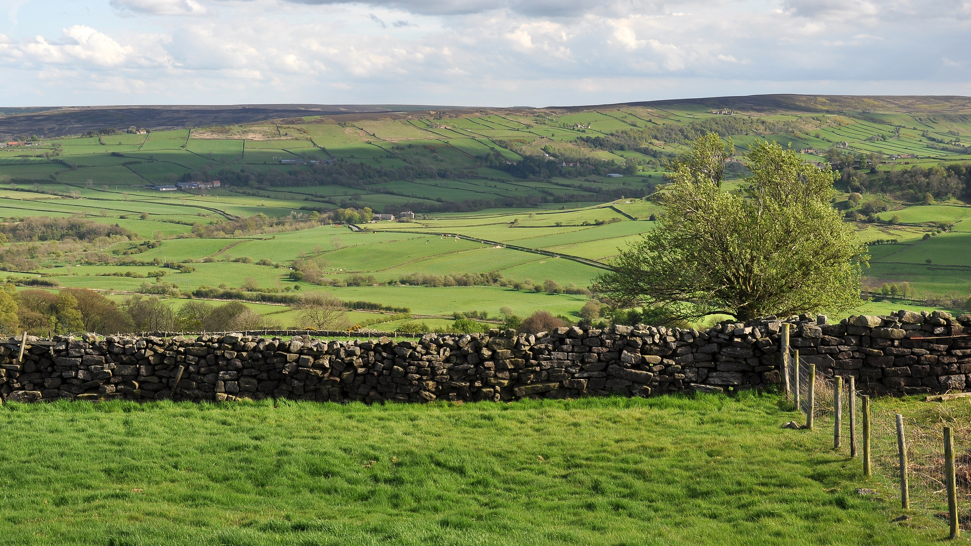 Blick auf die North York Moors