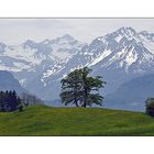 Blick auf die Oberstdorfer Berge