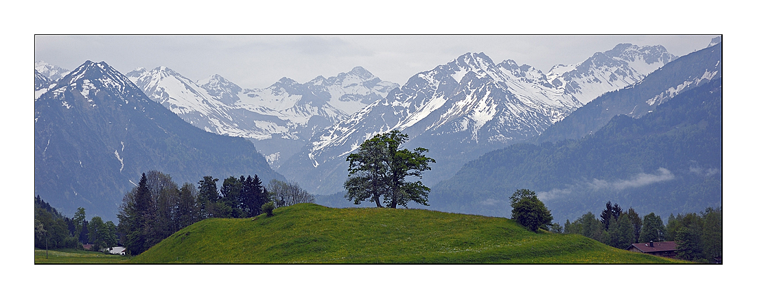 Blick auf die Oberstdorfer Berge