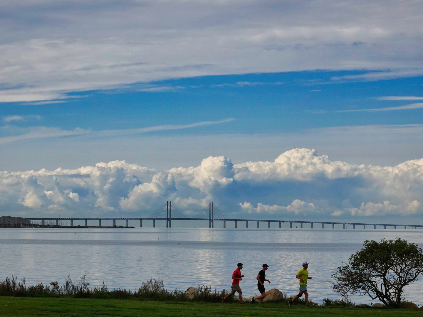 Blick auf die Öresundbrücke 