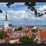 Blick auf die Olaikirche und den Hafen