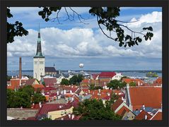 Blick auf die Olaikirche und den Hafen