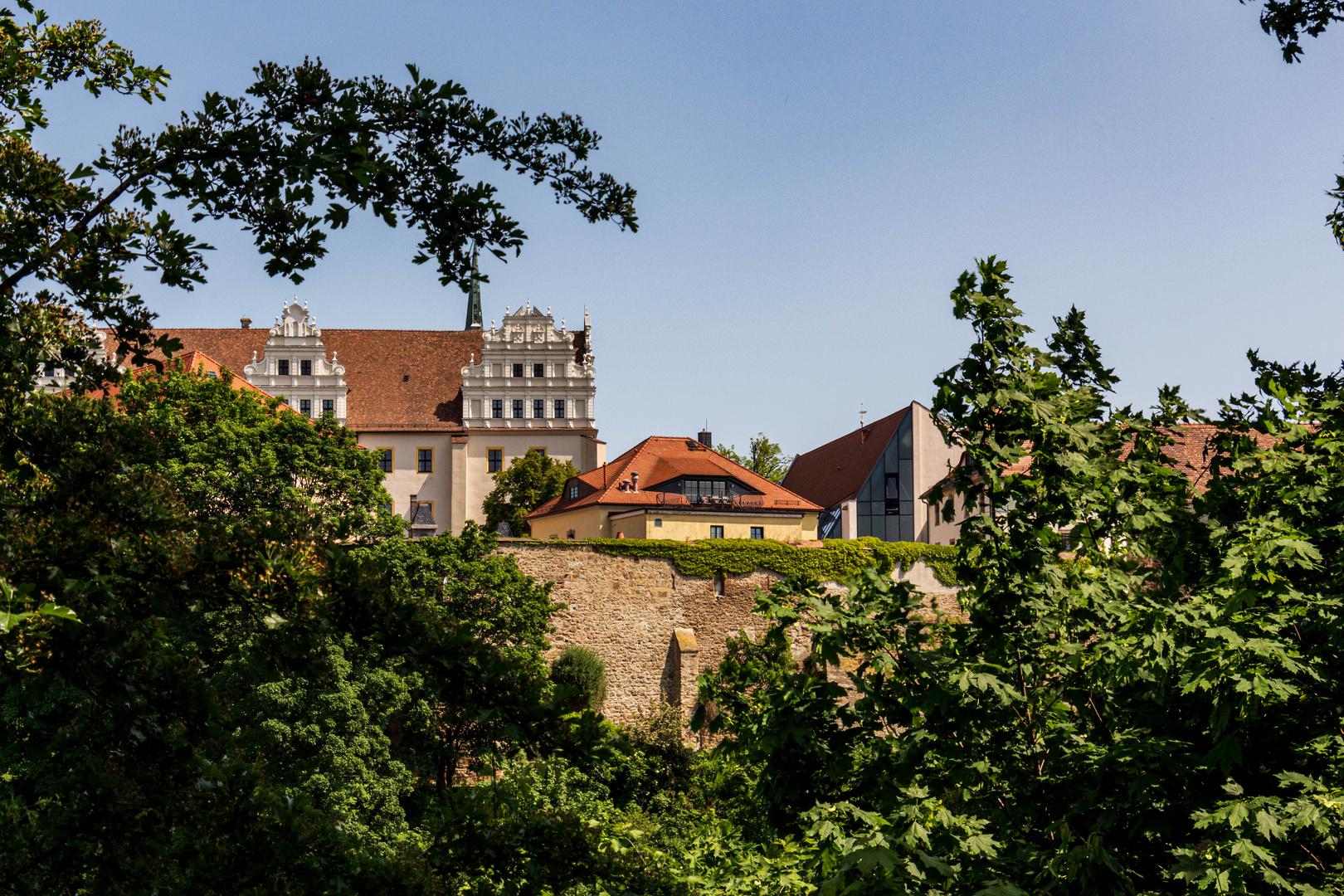 Blick auf die Ortenburg