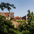 Blick auf die Ortenburg