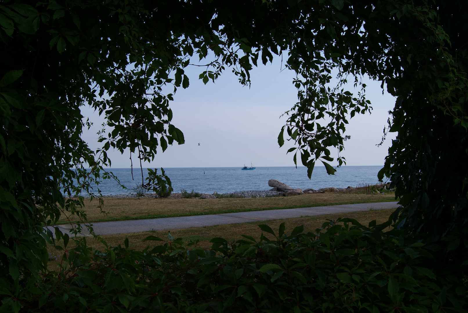 Blick auf die Ostsee