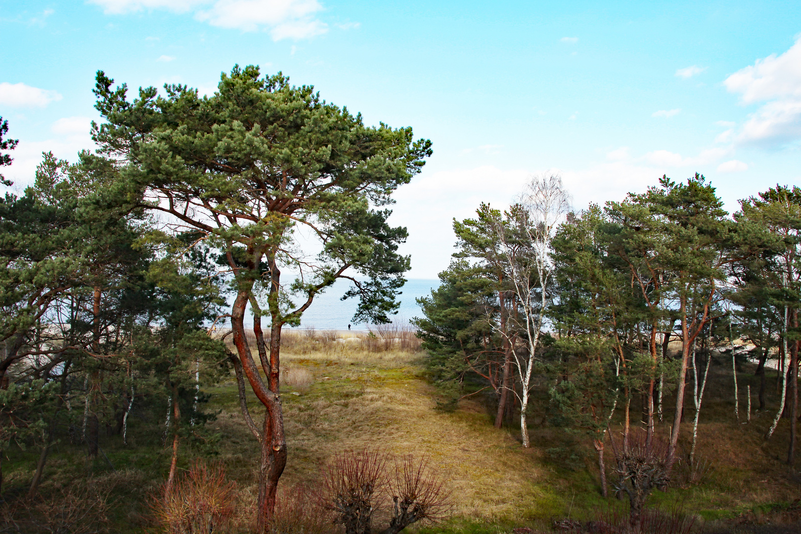 blick auf die Ostsee