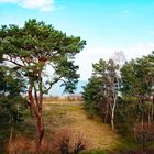 blick auf die Ostsee