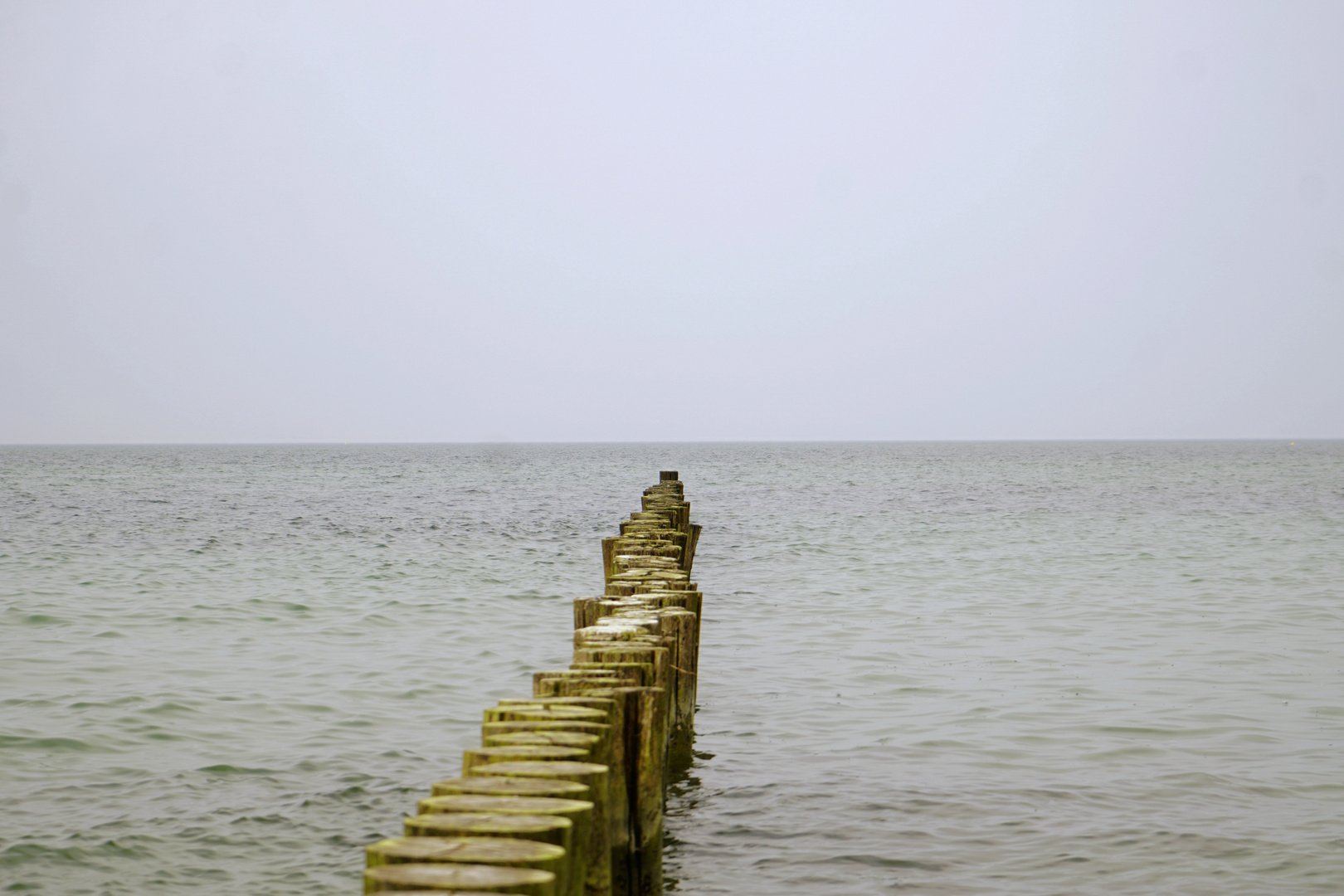 Blick auf die Ostsee