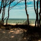 Blick auf die Ostsee