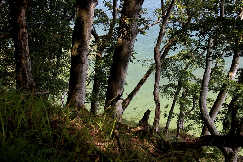 Blick auf die Ostsee