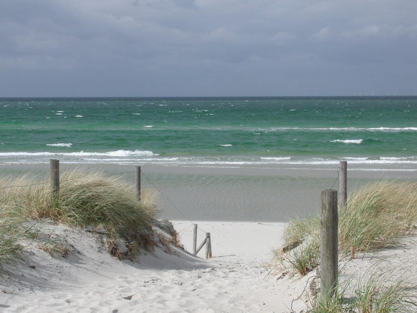 Blick auf die Ostsee - der Weg durch die Dünen.