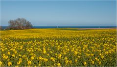 Blick auf die Ostsee