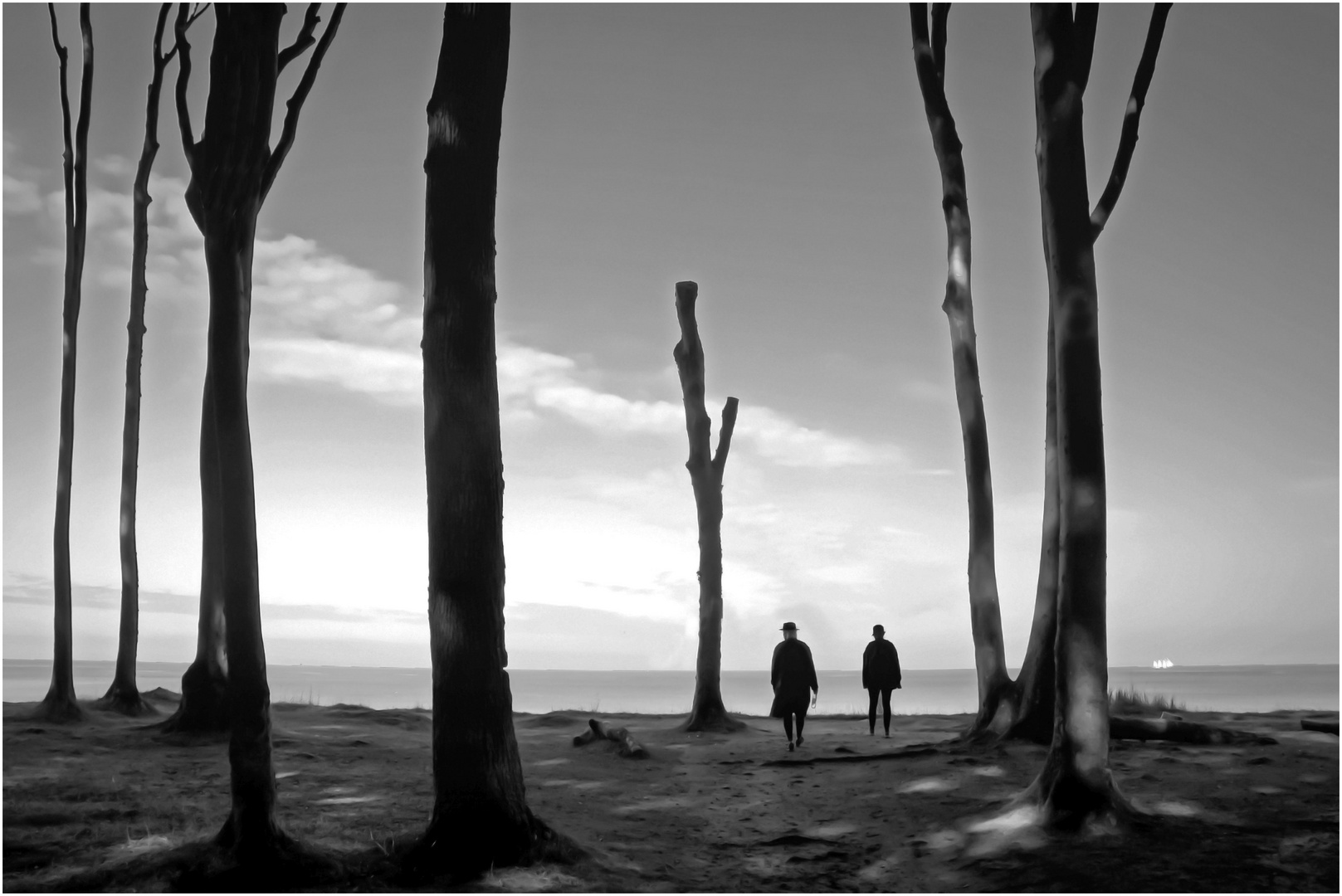 Blick auf die Ostsee