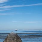 Blick auf die Ostsee in Tallinn