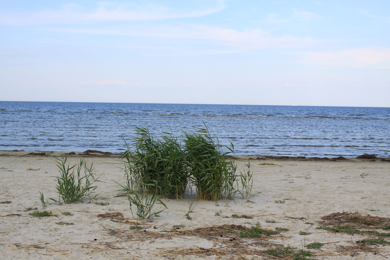 Blick auf die Ostsee vom Strand aus bei Peenemünde.