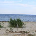 Blick auf die Ostsee vom Strand aus bei Peenemünde.