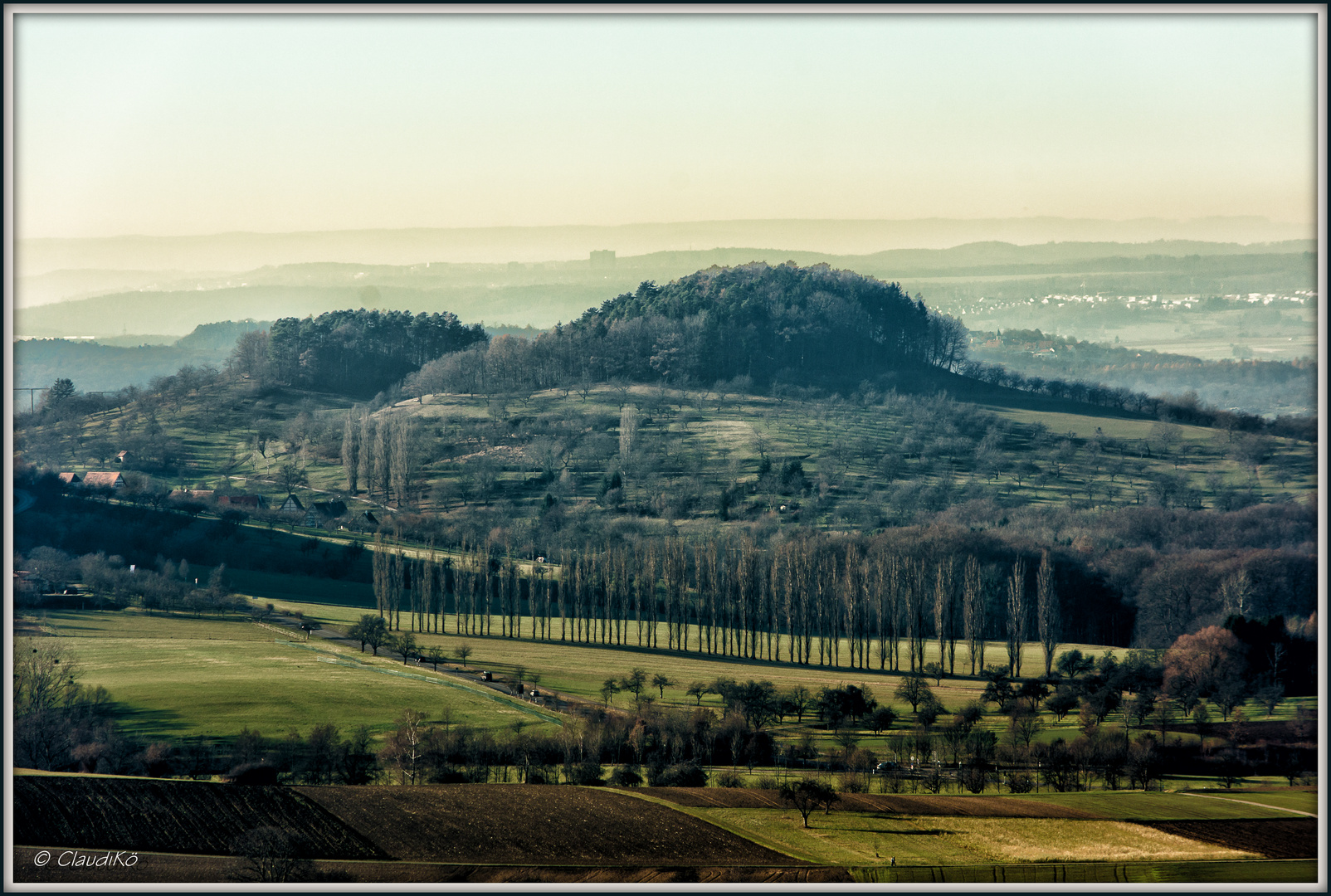 Blick auf die Pappeln zwischen Beuren und Owen