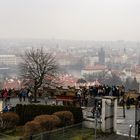 Blick auf die Prager Altstadt