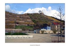 Blick auf die Radebeuler Weinberge