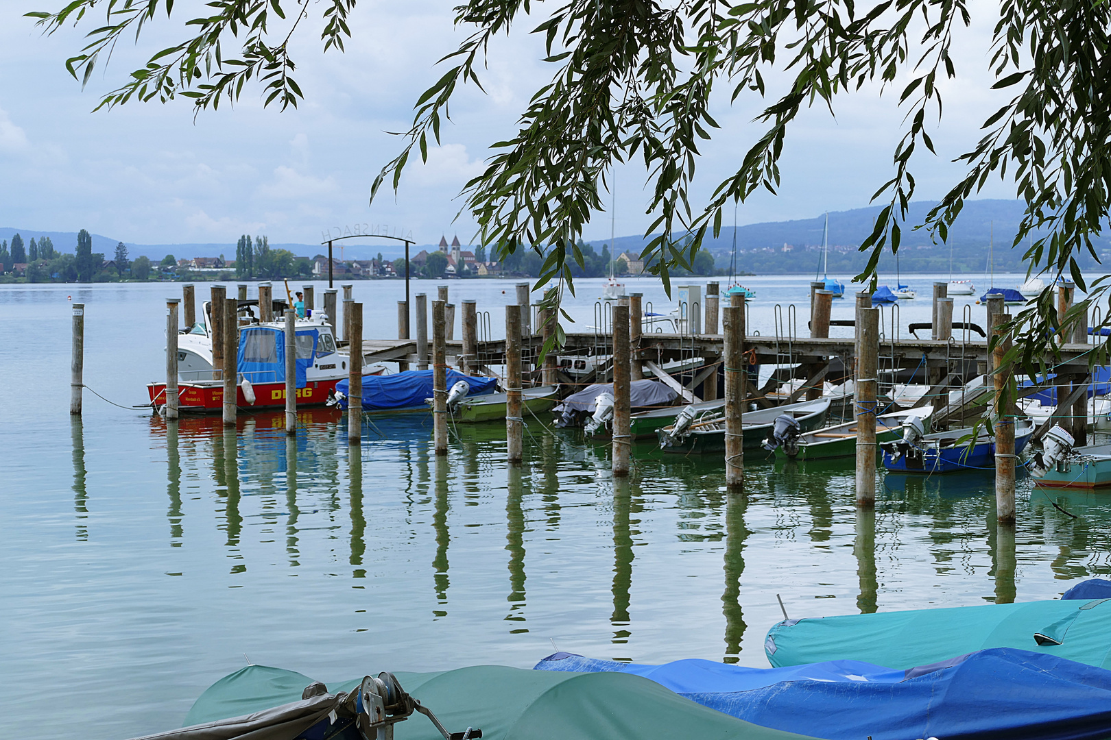 Blick auf die Reichenau