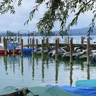 Blick auf die Reichenau