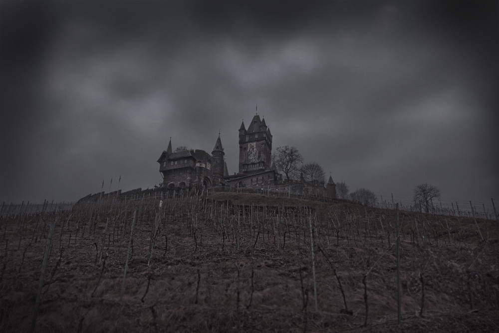 Blick auf die Reichsburg von Cochem mit Weinberg