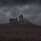 Blick auf die Reichsburg von Cochem mit Weinberg