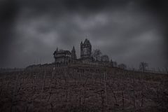 Blick auf die Reichsburg von Cochem mit Weinberg