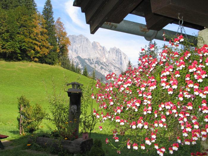 Blick auf die Reiteralm