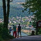 Blick auf die Rheinebene (Rüdesheim)